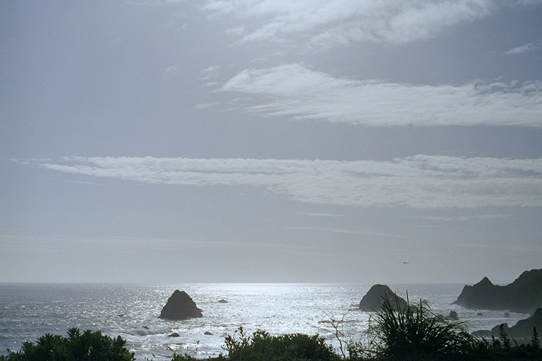 Large