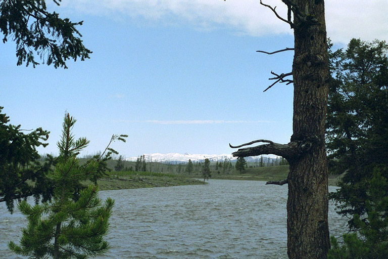 Large