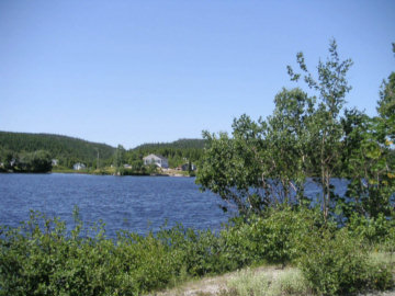 PICT0005l