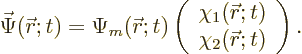 \begin{displaymath}
\skew{-1}\vec\Psi({\skew0\vec r};t)
= \Psi_m({\skew0\vec r...
...\vec r};t) \\
\chi_2({\skew0\vec r};t)
\end{array} \right).
\end{displaymath}