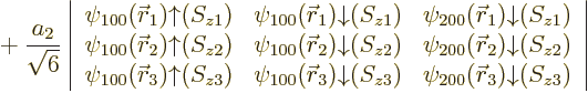 $\displaystyle {} +
\frac{a_2}{\sqrt{6}}
\left\vert
\begin{array}{ccc}
\psi_{100...
...{z3}) &
\psi_{200}({\skew0\vec r}_3){\downarrow}(S_{z3})
\end{array}\right\vert$