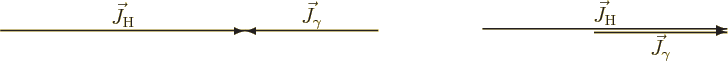 \begin{figure}\centering
\setlength{\unitlength}{1pt}
\begin{picture}(404,35...
...$}}
\put(367,-2){\makebox(0,0)[t]{$\vec J_\gamma$}}
\end{picture}
\end{figure}