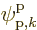 $\pp{{\rm {p}},k}////$