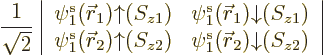 \begin{displaymath}
\frac{1}{\sqrt{2}}
\left\vert
\begin{array}{cc}
\pe1/{\s...
...2/u/z2/ & \pe1/{\skew0\vec r}_2/d/z2/
\end{array} \right\vert
\end{displaymath}