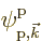 $\pp{{\rm {p}},{\vec k}}////$