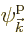 $\pp{\vec k}////$