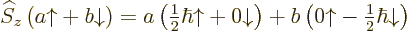 \begin{displaymath}
{\widehat S}_z\left(a{\uparrow}+ b{\downarrow}\right) =
a ...
...t(0{\uparrow}- {\textstyle\frac{1}{2}}\hbar{\downarrow}\right)
\end{displaymath}