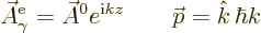 \begin{displaymath}
\skew3\vec A_\gamma^{\rm {e}} = \skew3\vec A^0 e^{{\rm i}k z} \qquad {\skew0\vec p}= {\hat k}\,\hbar k
\end{displaymath}