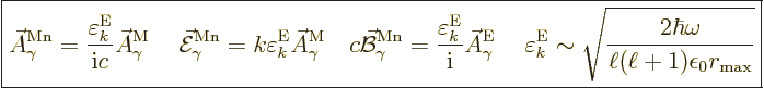 \begin{displaymath}
\fbox{$\displaystyle
\skew3\vec A_\gamma^{\rm Mn}
= \frac...
...\frac{2\hbar\omega}{\ell(\ell+1)\epsilon_0r_{\rm{max}}}}
$} %
\end{displaymath}