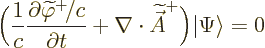 \begin{displaymath}
\bigg(\frac{1}{c}\frac{\partial\widetilde\varphi^+\!/c}{\pa...
...tilde{\skew3\vec A}}^+\bigg) {\left\vert\Psi\right\rangle} = 0
\end{displaymath}