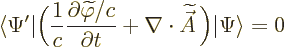 \begin{displaymath}
{\left\langle\Psi'\hspace{0.3pt}\right\vert}
\bigg(\frac{1...
...etilde{\skew3\vec A}\,\bigg) {\left\vert\Psi\right\rangle} = 0
\end{displaymath}