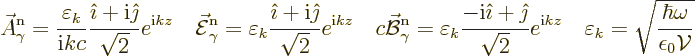 \begin{displaymath}
\skew3\vec A_\gamma^{\rm n}= \frac{\varepsilon_k}{{\rm i}kc...
...arepsilon_k
= \sqrt{\frac{\hbar\omega}{\epsilon_0{\cal V}}} %
\end{displaymath}