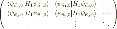 \begin{displaymath}
\left(
\begin{array}{ccc}
\langle\psi_{{\vec n}_1,0}\vert...
... &
\cdots \\
\vdots & \vdots & \ddots
\end{array} \right)
\end{displaymath}