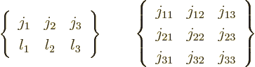 \begin{displaymath}
\left\{
\begin{array}{ccc}
j_1 & j_2 & j_3 \\
l_1 & l_2...
...} & j_{23} \\
j_{31} & j_{32} & j_{33}
\end{array} \right\}
\end{displaymath}