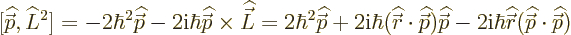 \begin{displaymath}[{\skew 4\widehat{\skew{-.5}\vec p}},\L ^2]= - 2\hbar^2 {\ske...
...{\skew{-.5}\vec p}}\cdot{\skew 4\widehat{\skew{-.5}\vec p}}) %
\end{displaymath}